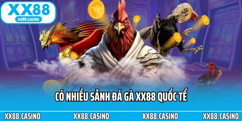 Có nhiều sảnh đá gà XX88 quốc tế Có nhiều sảnh đá gà XX88 quốc tế