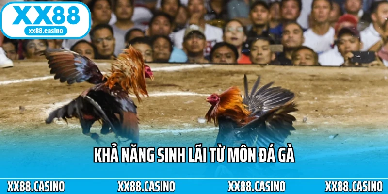 Khả năng sinh lãi từ môn đá gà Khả năng sinh lãi từ môn đá gà